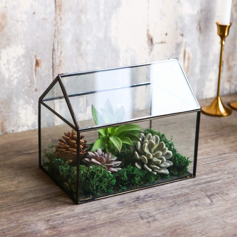 Levilan House Shape Close Glass Geometric Terrarium Tabletop Succulent Plant House Garden Planter Moss Fern Swing Lid, Flower Pot for Plants Succulent, Air Plant (Black) - Image 3